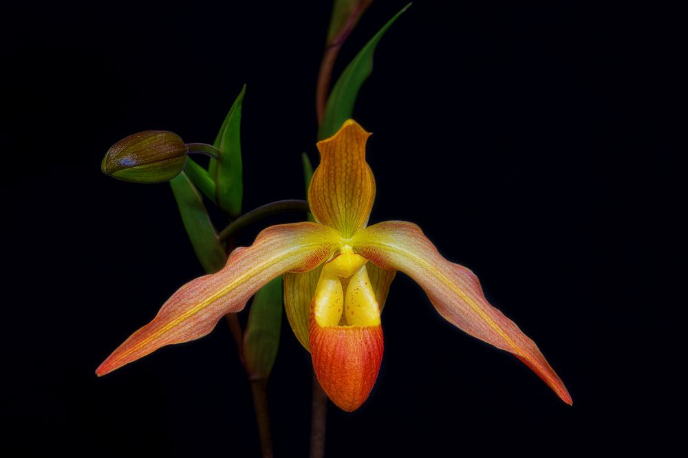 Photograph by Zhenhuan Zhou