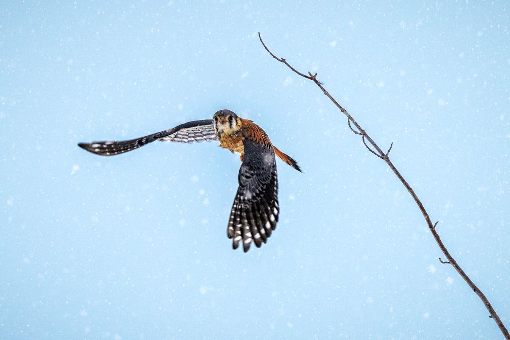 Photograph by Zhenhuan Zhou