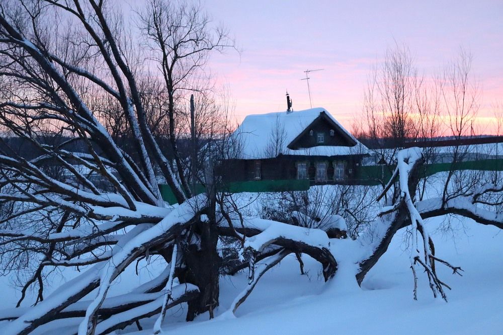 Фотография автора Людмила Иванова