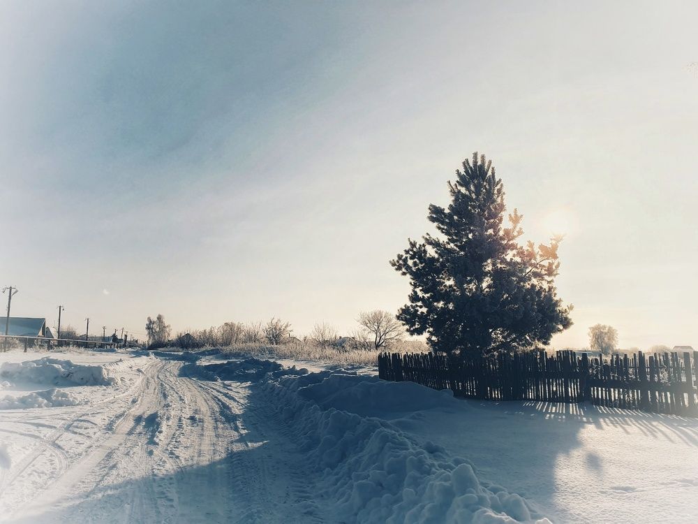 Photograph by Екатерина Верясова