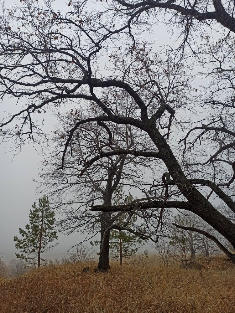Photograph by Виктория Шереметьева