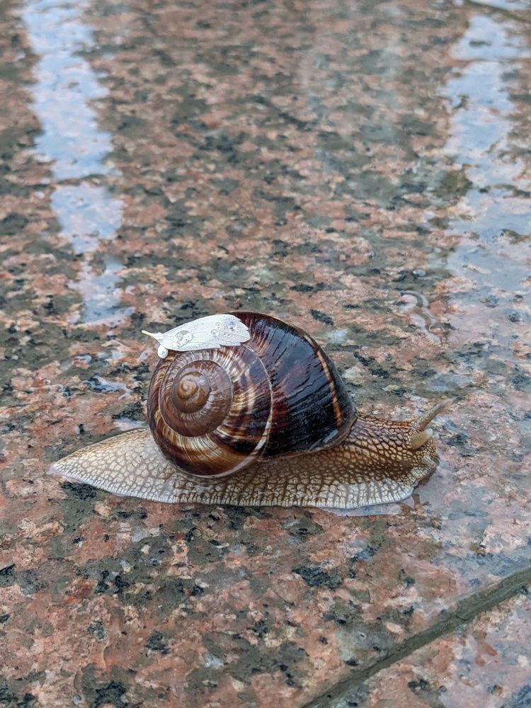 Photograph by Алексей Никифоров