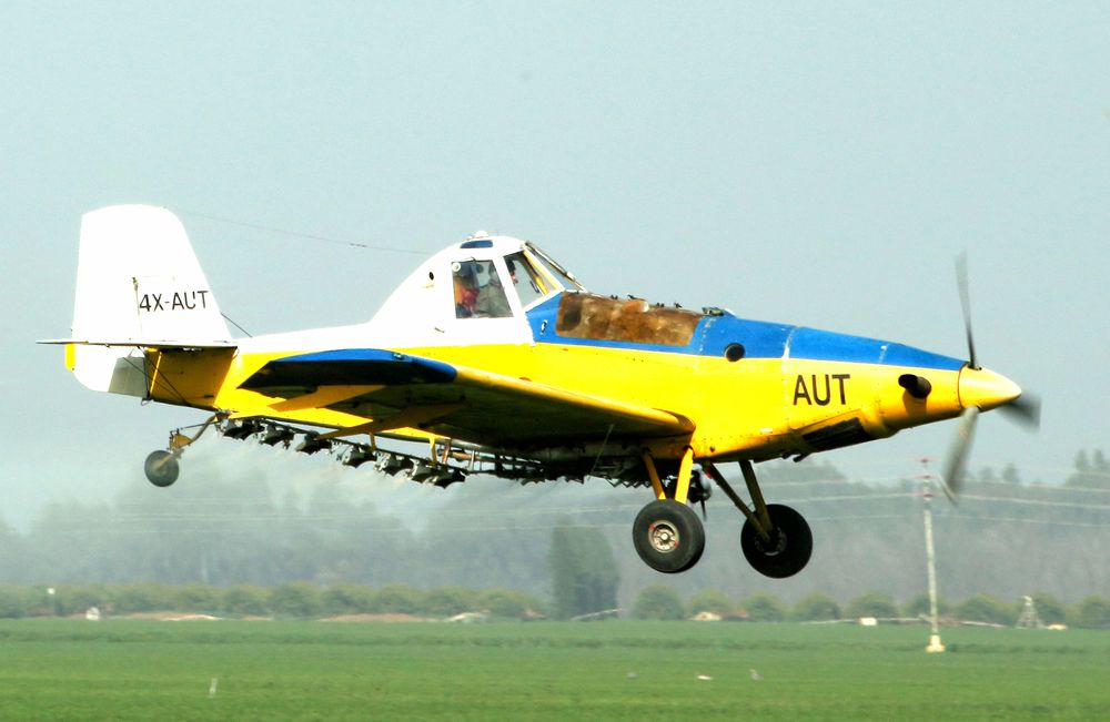 Photograph by Drora Baharal