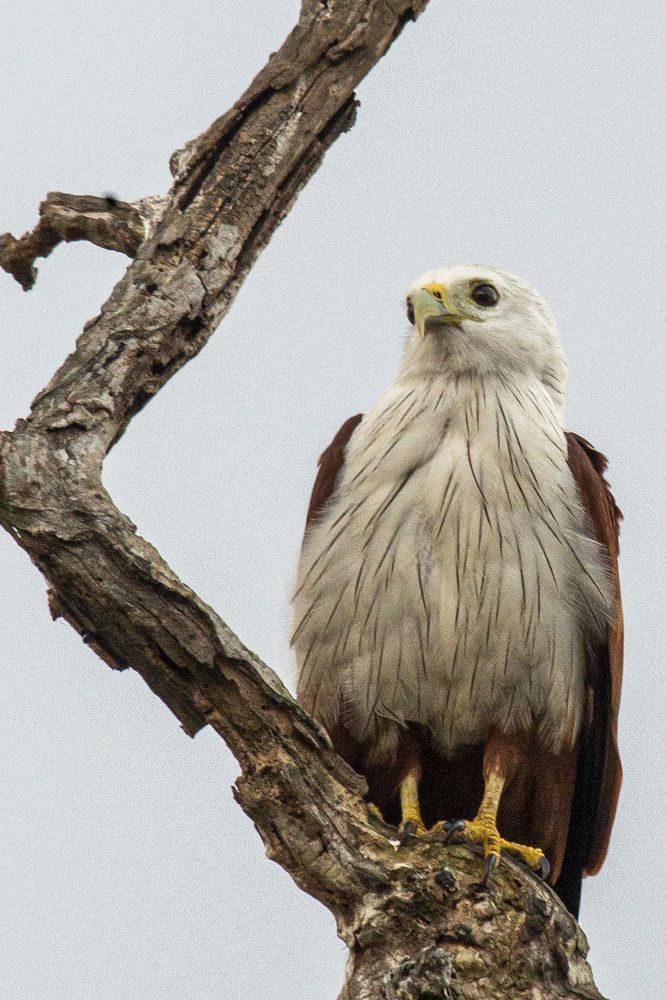 Photograph by Anantharajha Manoj