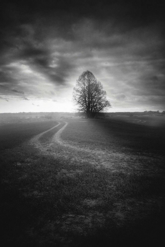 Photograph by Татьяна Максакова