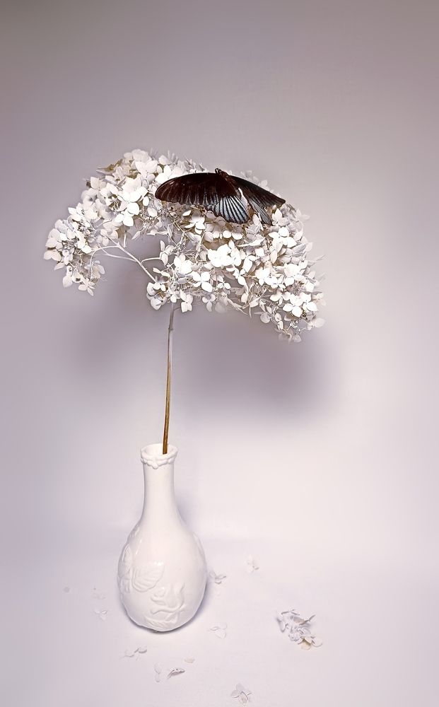 Photograph by Олеся Лосыгина