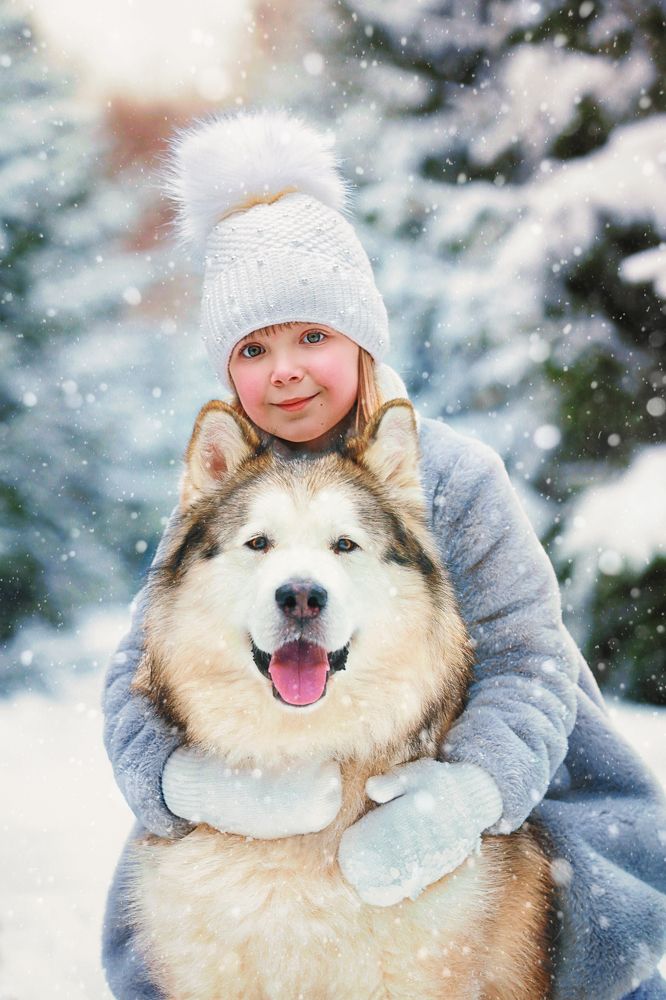 Photograph by Карачунова Ирина