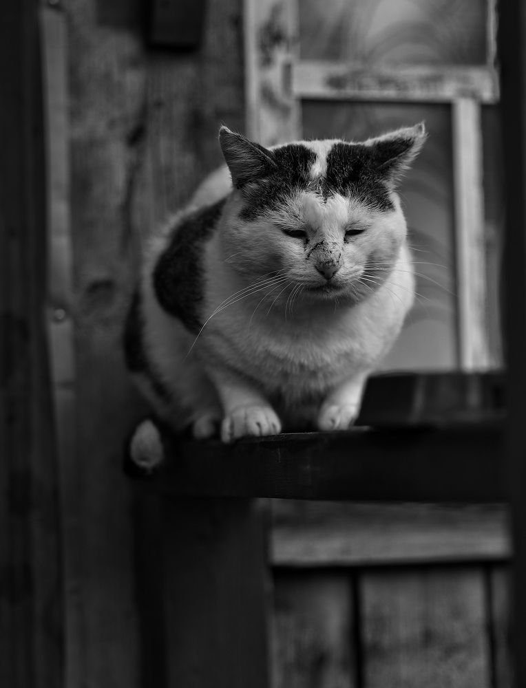 Photograph by Елена Одынец