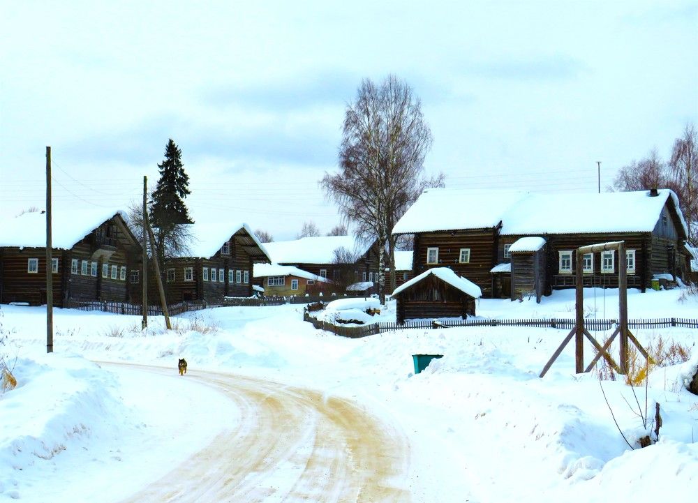 Photograph by Людмила Кононова