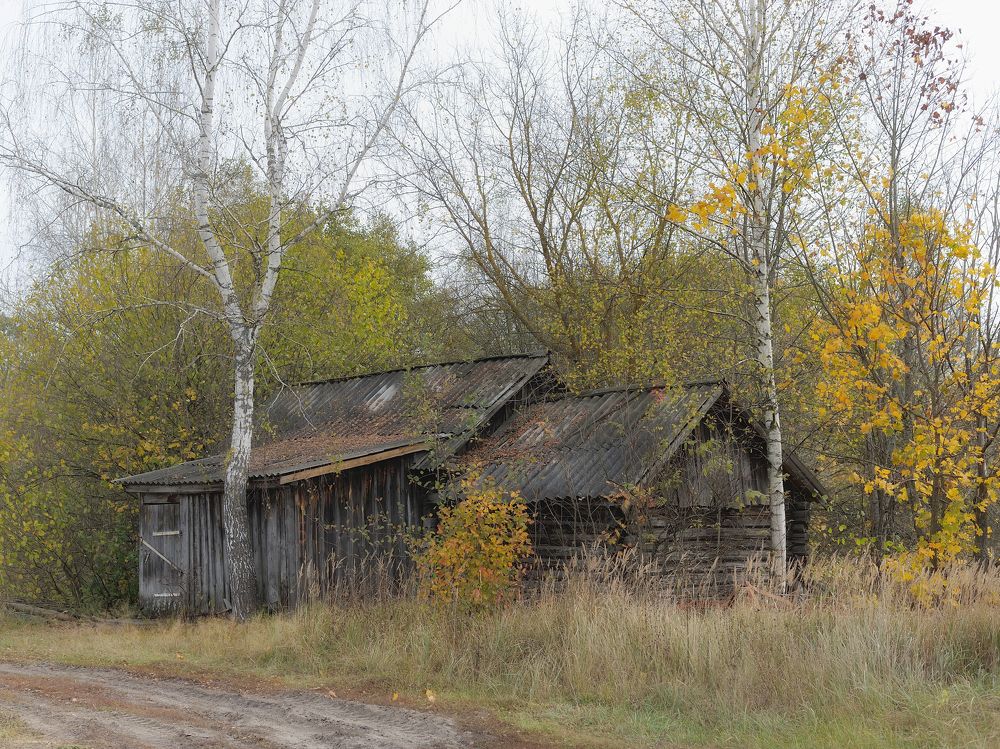 Photograph by Владимир Щеголев