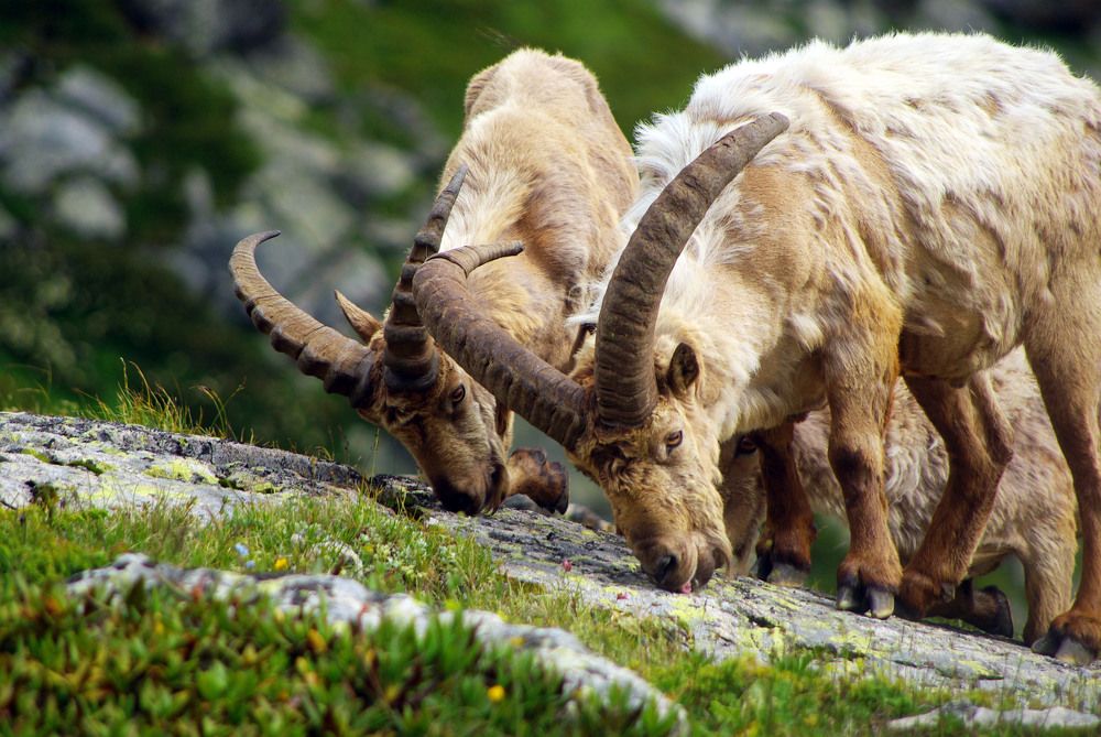 Photograph by Андрей Любимов