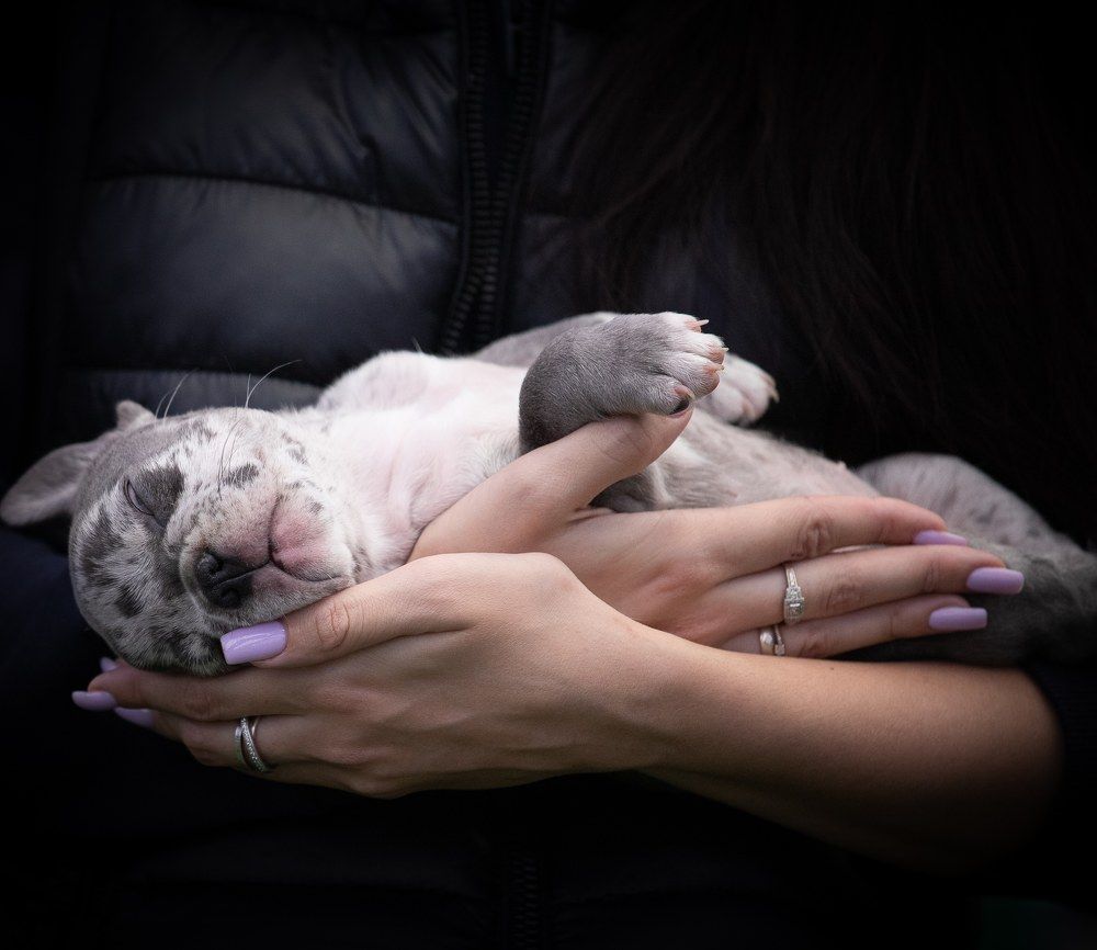 Фотография автора Карина Сагитова