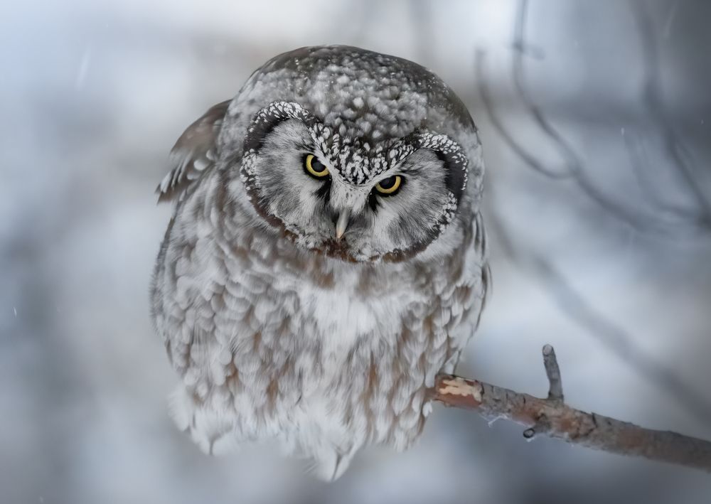 Photograph by Дарья