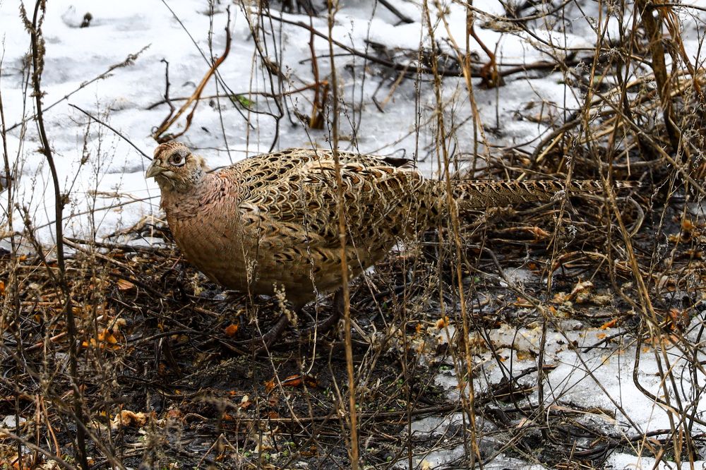 Photograph by Сергей Конюшенко