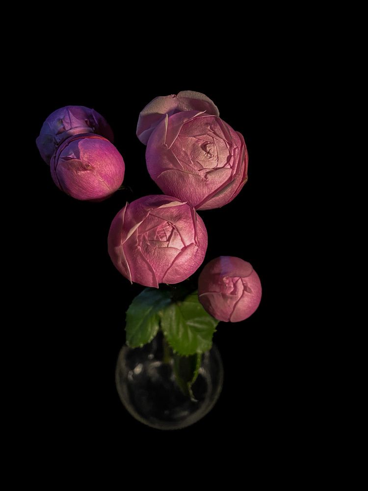 Photograph by Людмила Казак