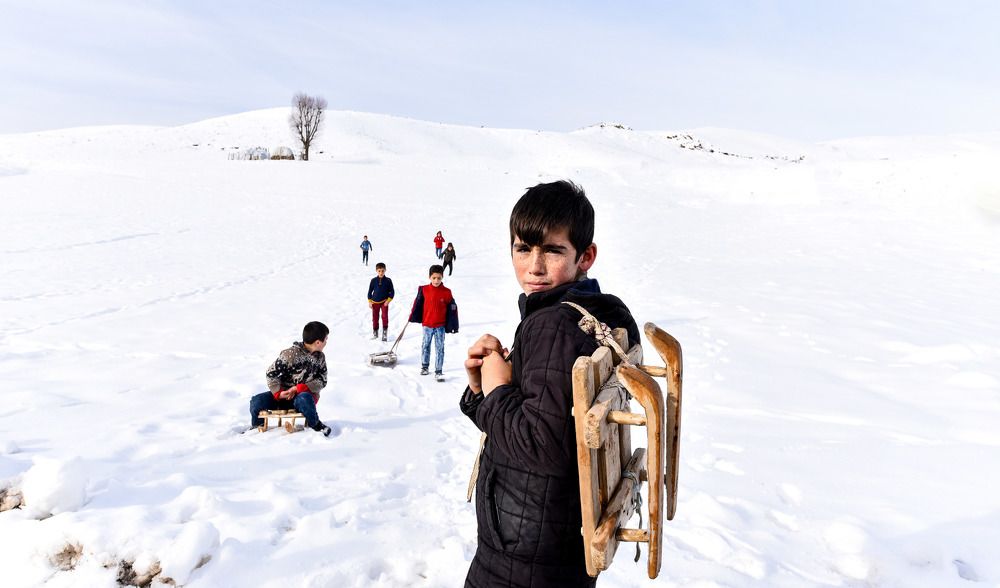 doğal yaşamdan fotoğraflar