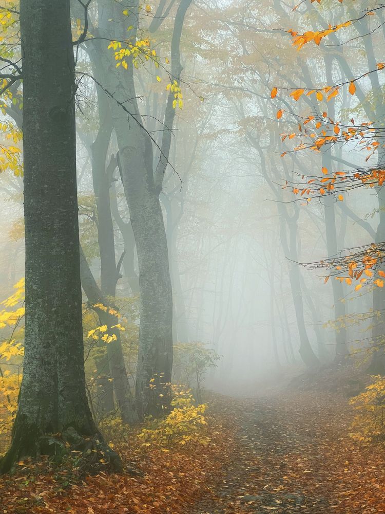 Photograph by Артём Мелетов