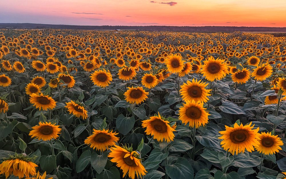 Photograph by Сергей Дишук