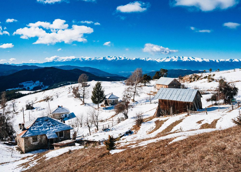 Photograph by Александр Дмитриев