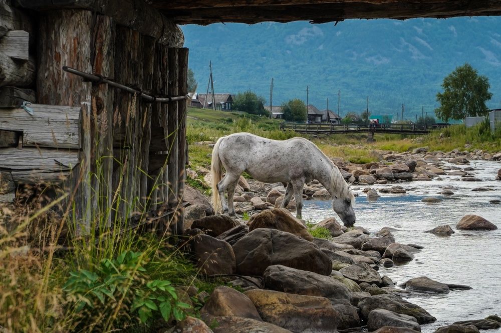 Photograph by Давыдова Гульгена