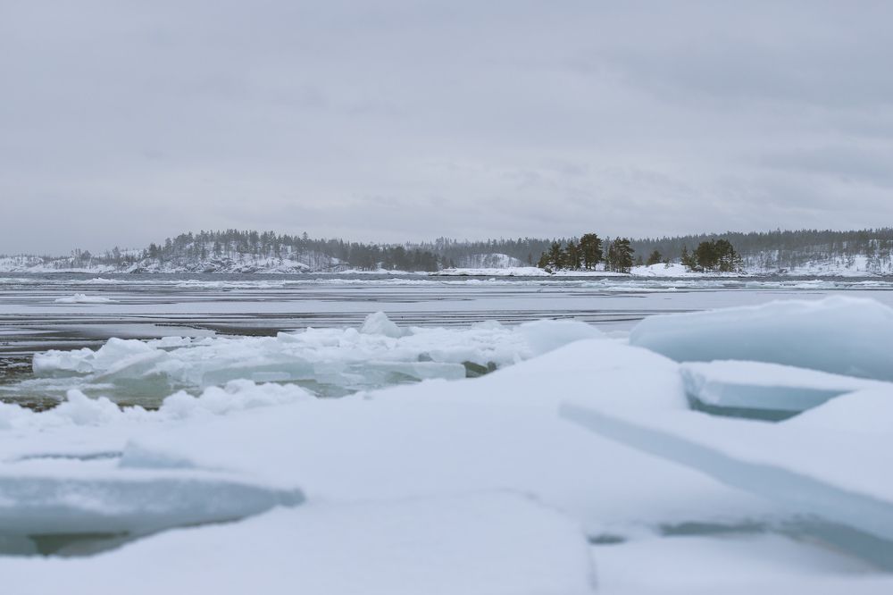 Photograph by Сергей Дивид