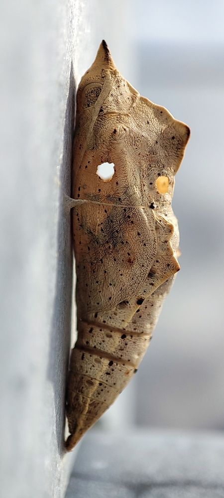 Photograph by Ольга