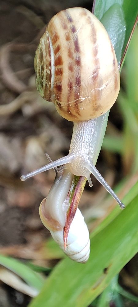 Photograph by Ольга