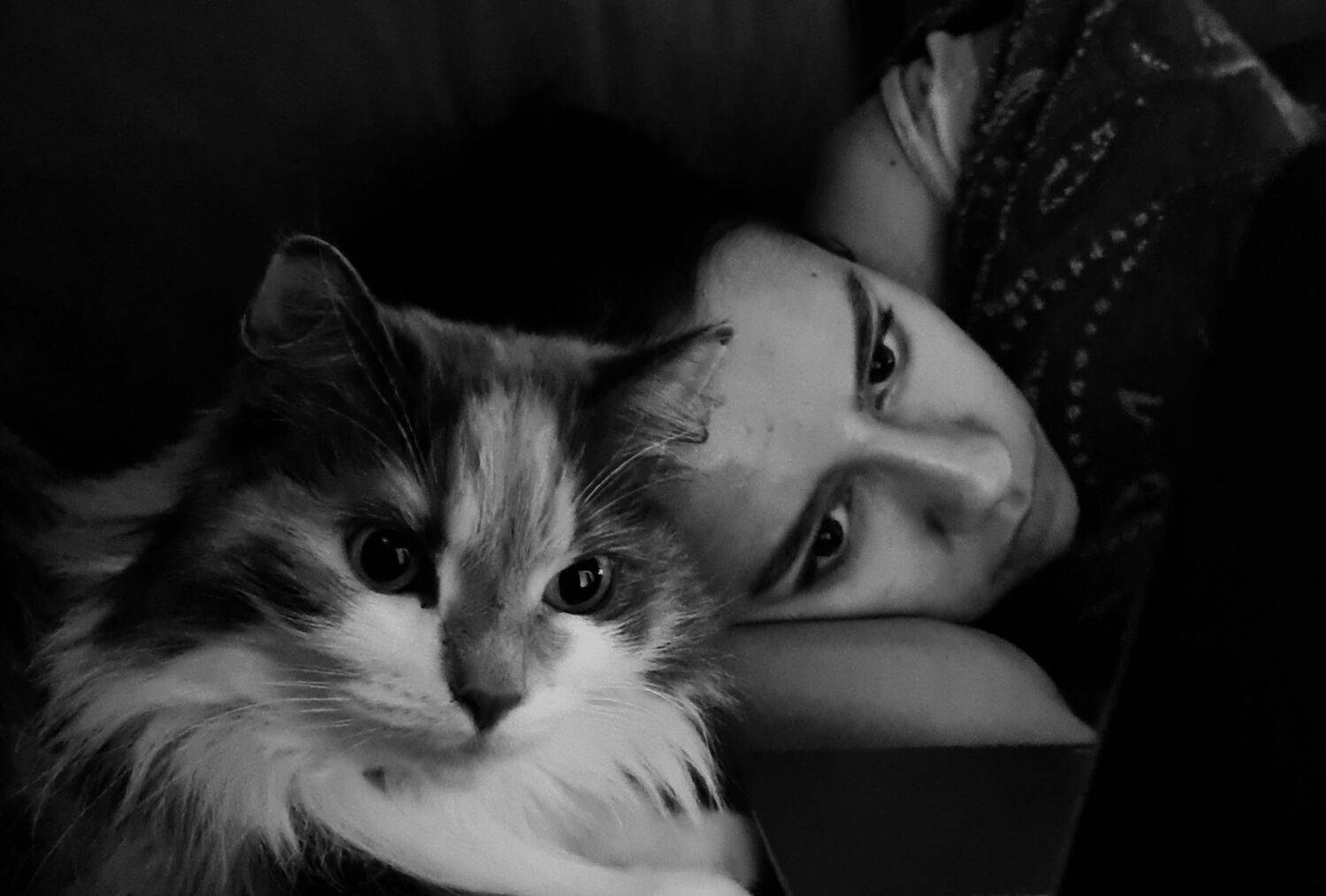 Eyes