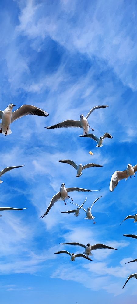 Photograph by Ольга