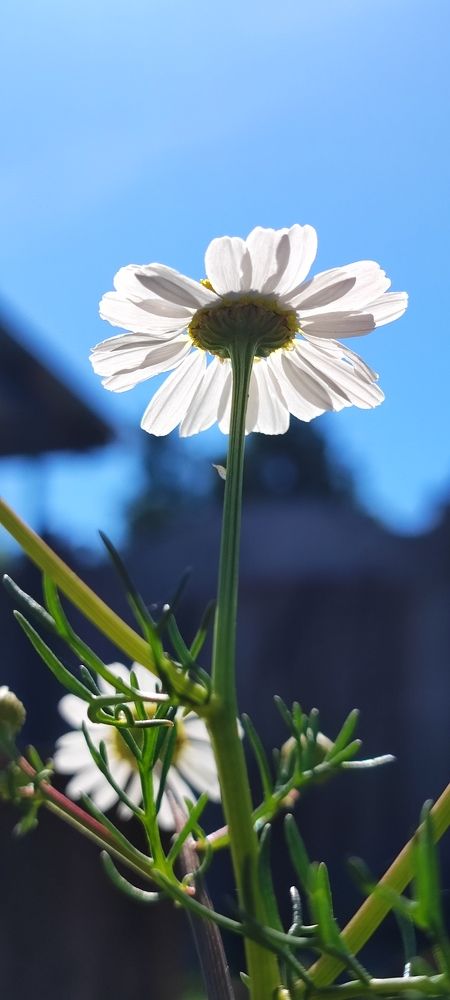 Photograph by Ольга