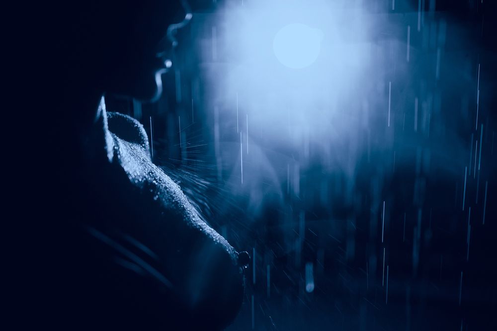 Photograph by Артём Кыштымов