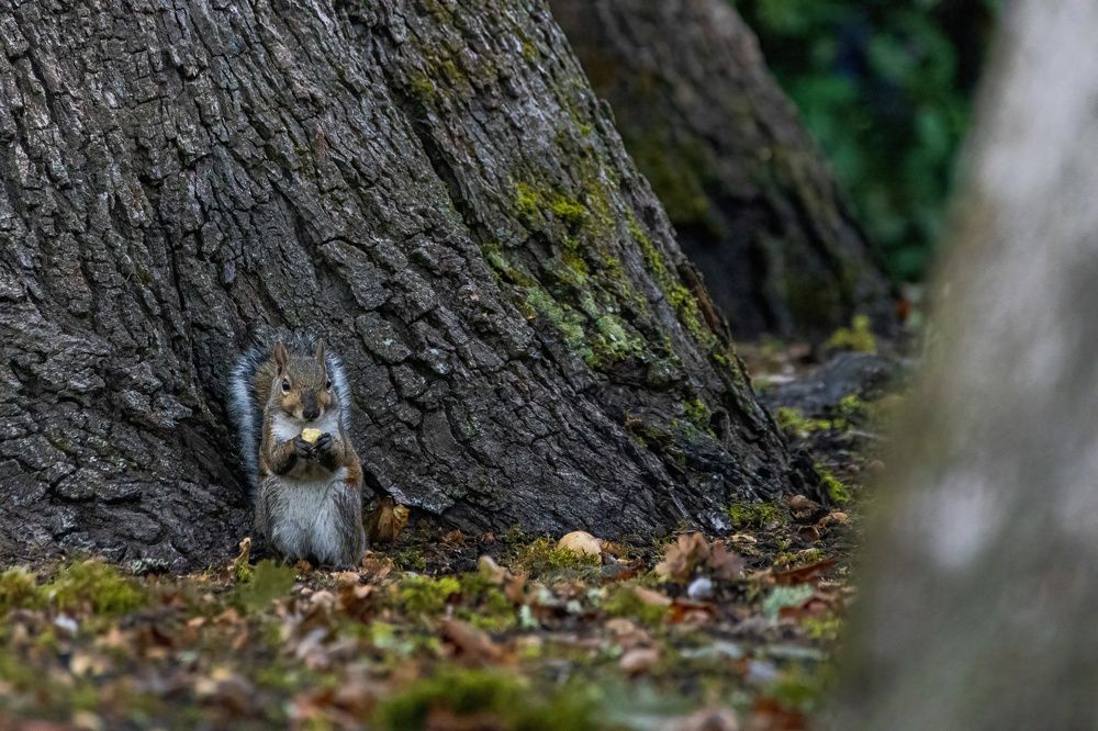 Photograph by dana berger