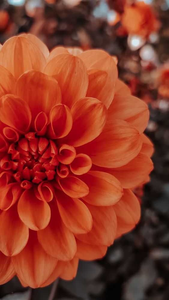 Photograph by Ирина Львова