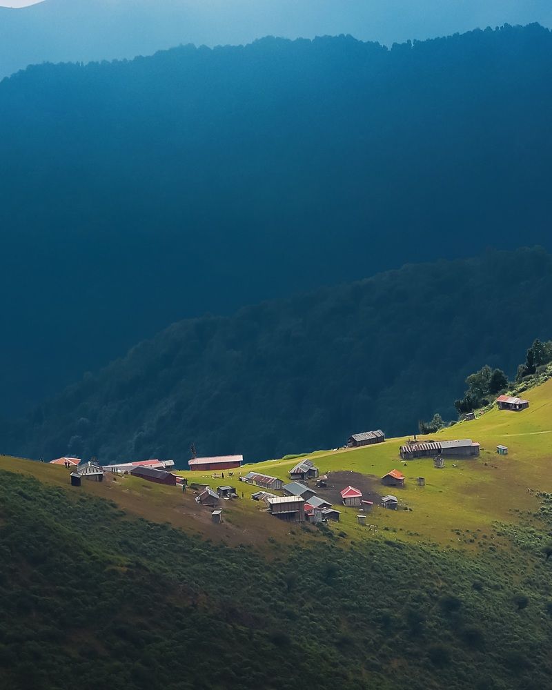 Фотография автора Shahram Hafezi