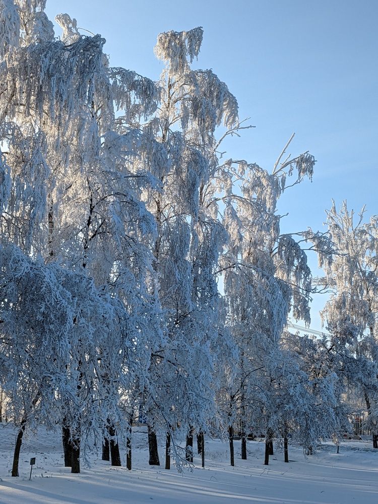 Photograph by Алексей Никифоров