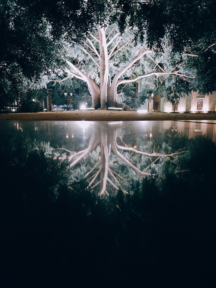 Зазеркалье