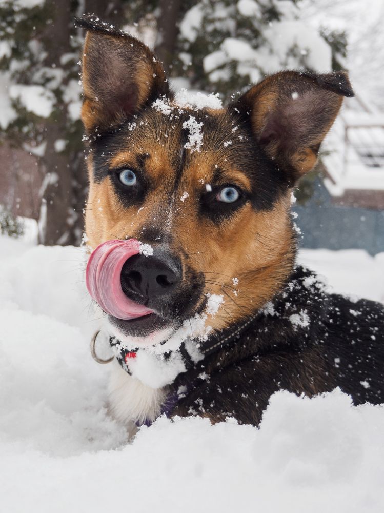 Photograph by Margarita Presidentova