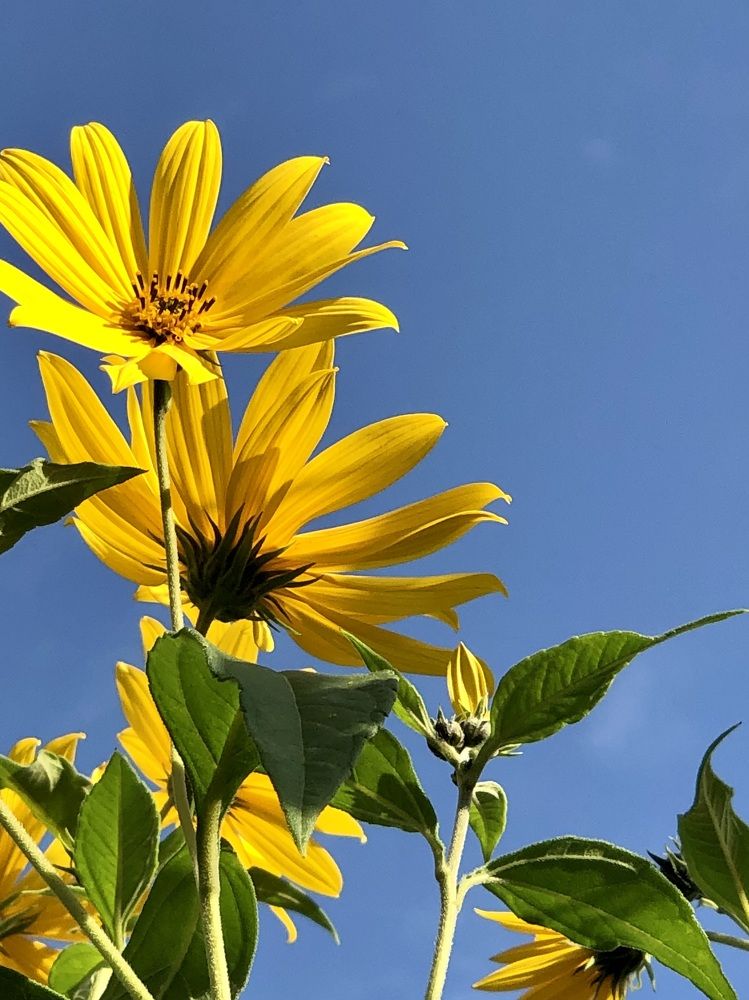 Photograph by Halina Mitsevich