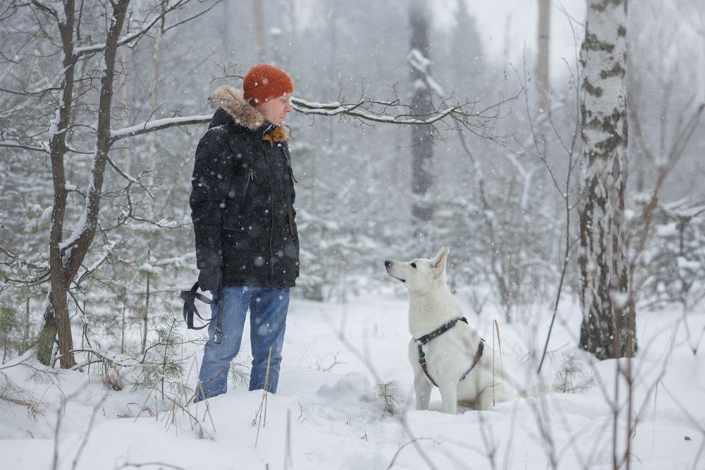Одним зимним днем...