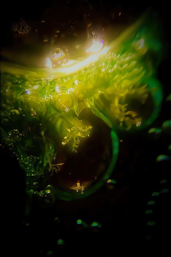 Формирование серебрянного дендрита