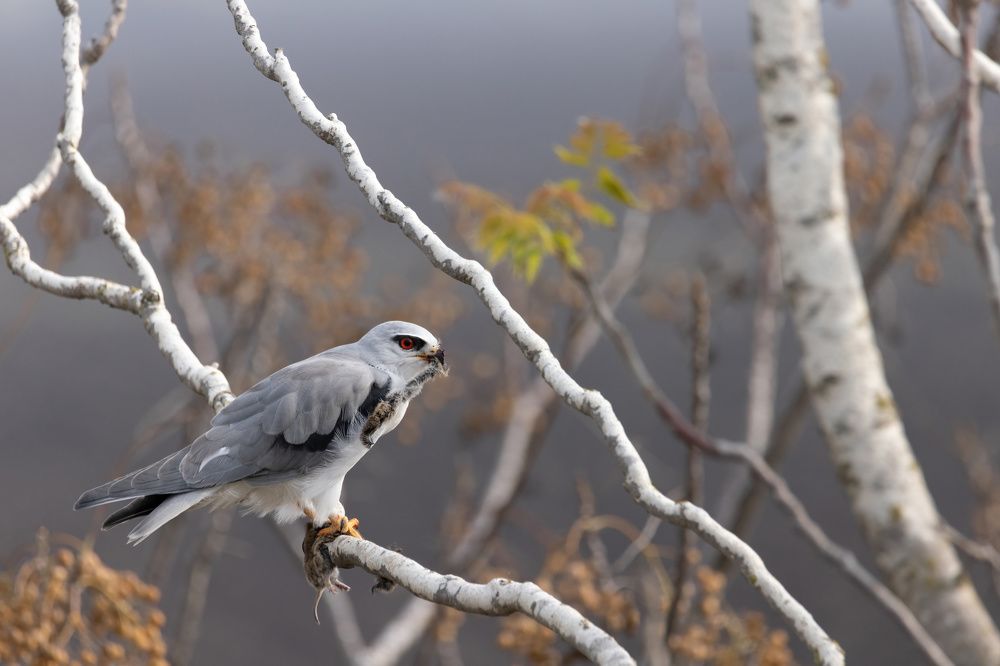 Photograph by dana berger