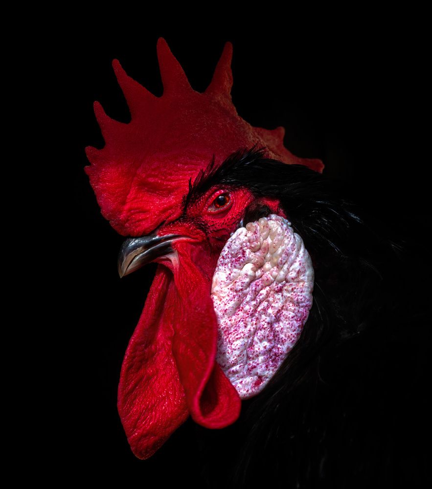 Photograph by Armen  Maitesian