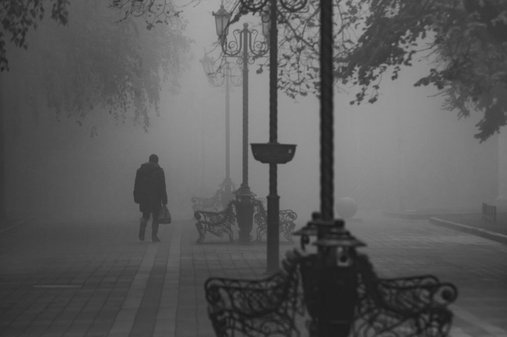 Photograph by 
