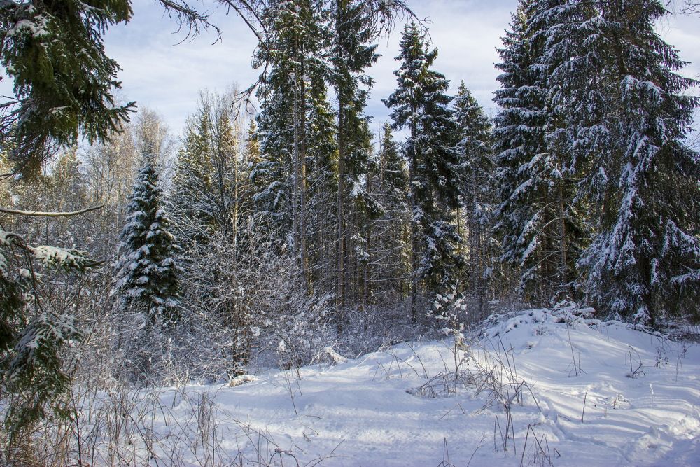 Photograph by Анна-Лаймуте Милошевич