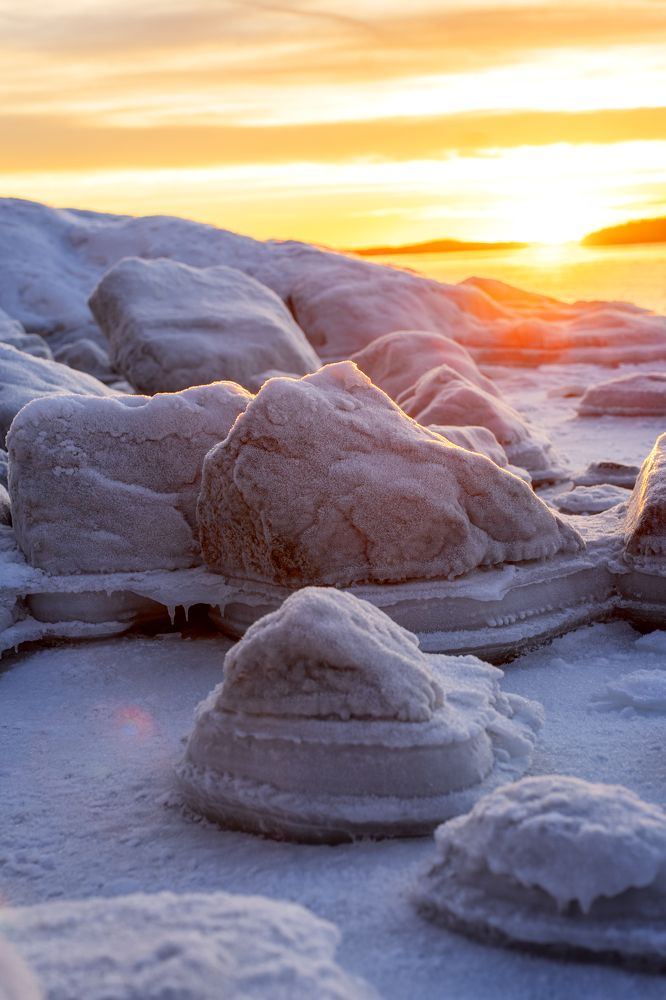 Photograph by Margarita Belostotskaia