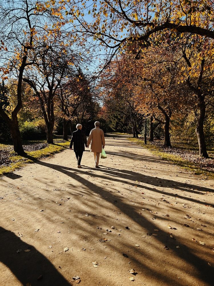 Два пенсионера / Two pensioners