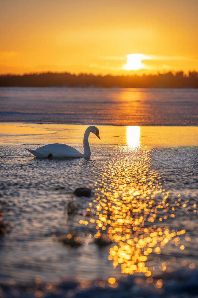 Photograph by Margarita Belostotskaia