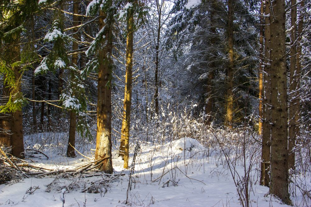 Photograph by Анна-Лаймуте Милошевич