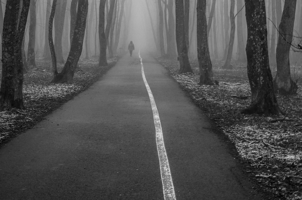 Photograph by Виталий Маслов