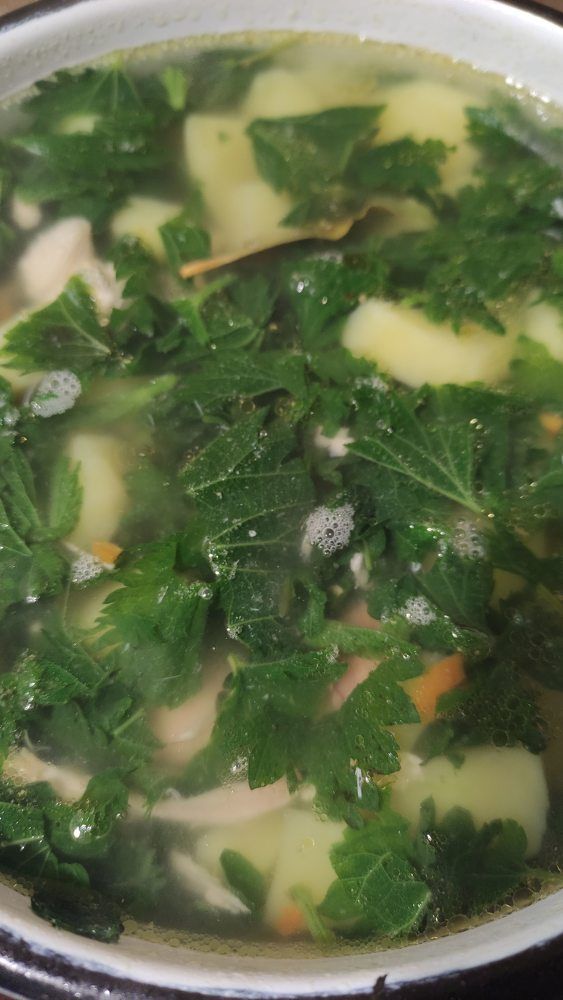 Фотография автора Васильева Ирина